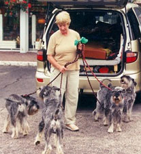 Estelle och hundar på bensinmack i Madrid